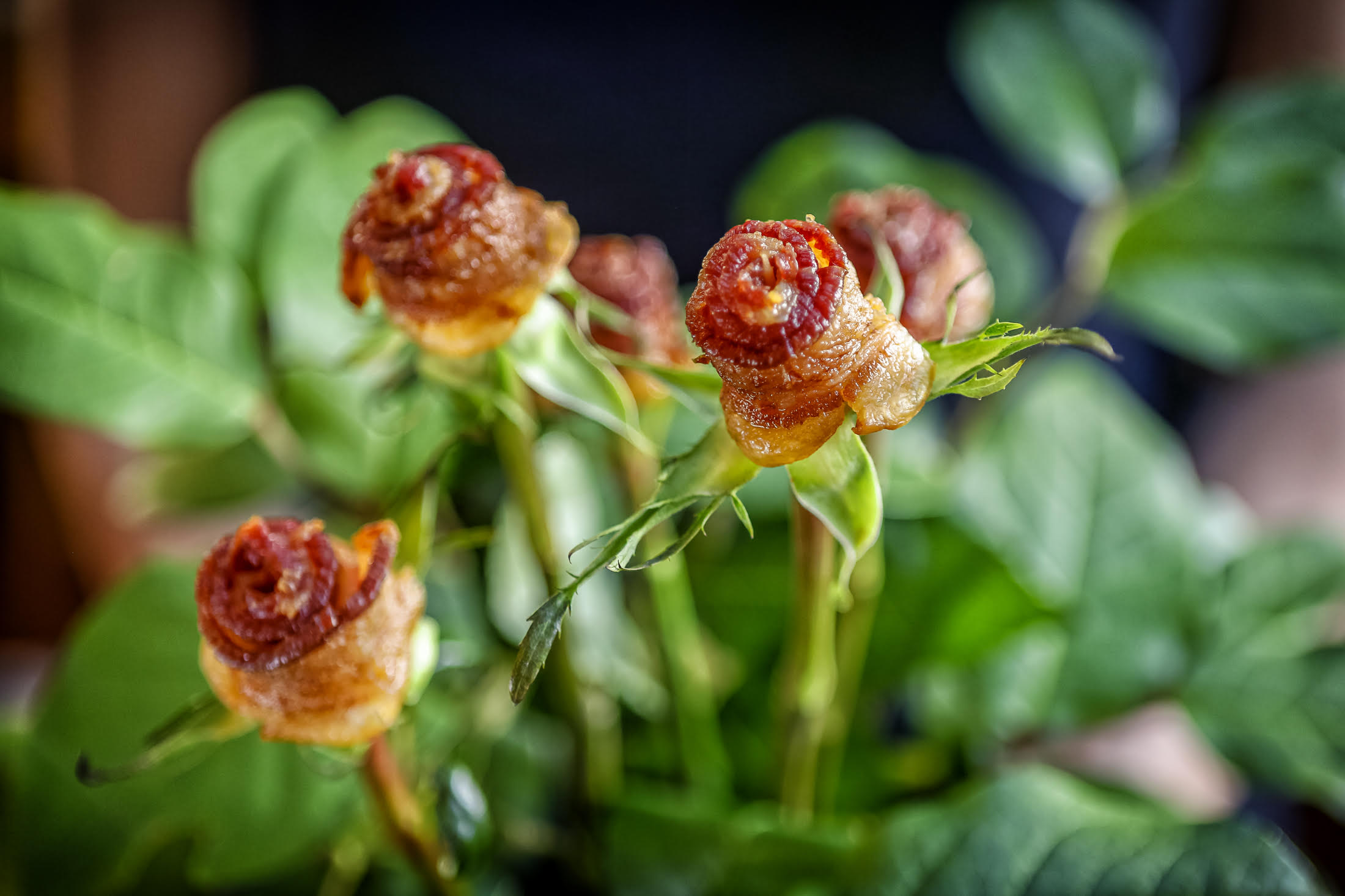Bacon Roses