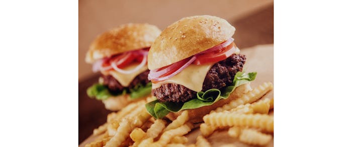 Bison Burger with Caramelized Onions