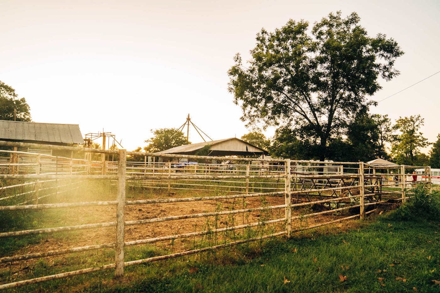 Home Place Pastures - Farm Page - Primary Capsule Image