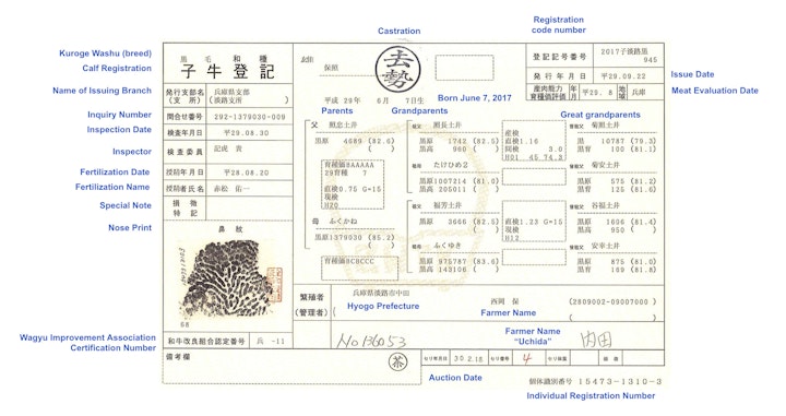 Japanese Kobe Beef Nose Print Certificate
