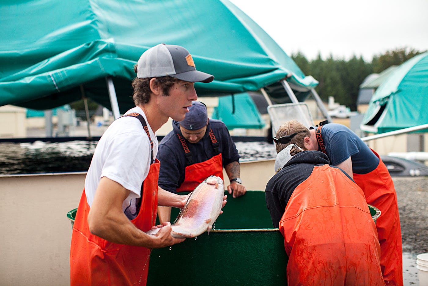 Riverence - People Working