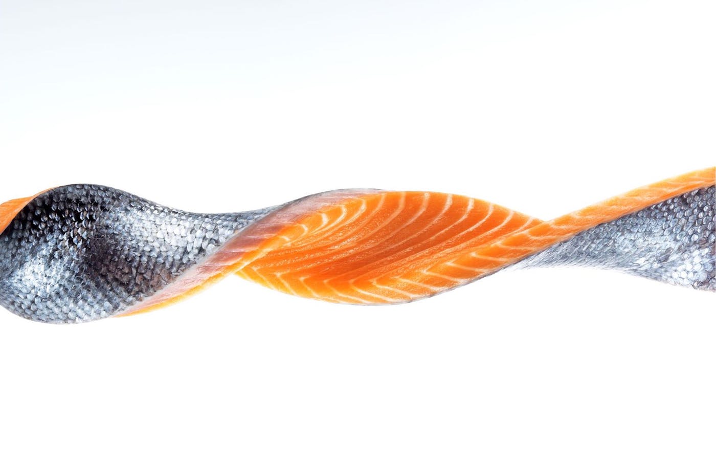 Ora King Salmon Fillet DNA