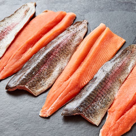 Image of Steelhead Trout Family Pack