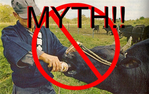 Wagyu don't drink beer