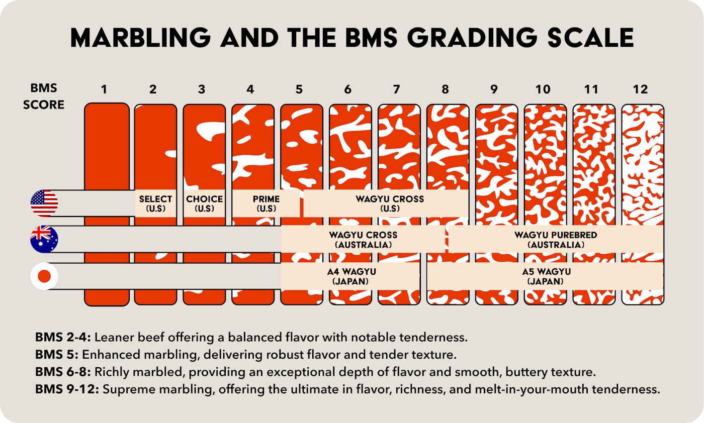 Understanding Marbling and BMS Grading