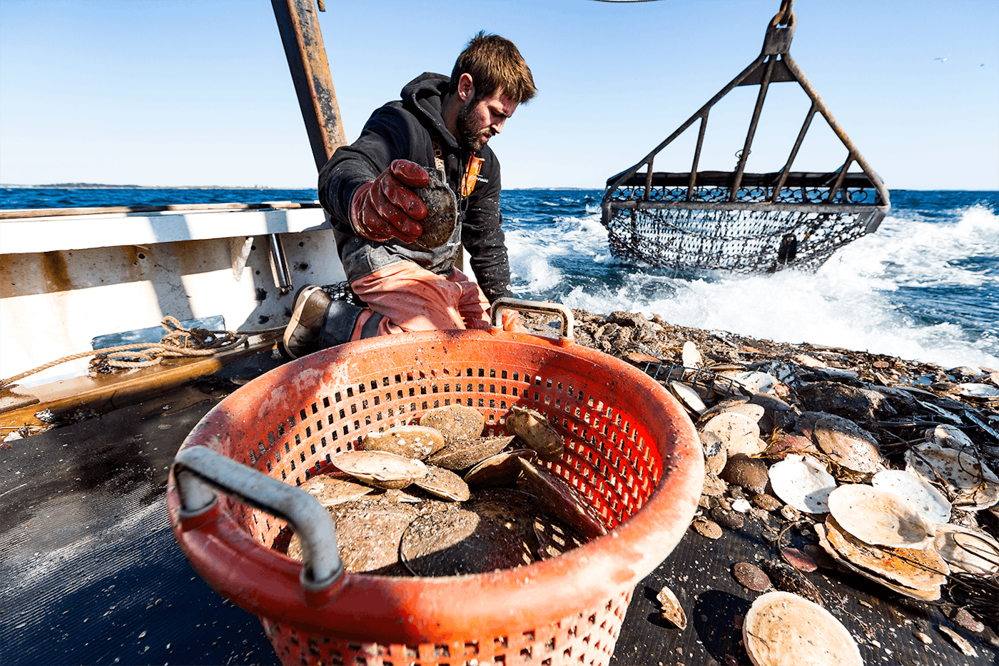 Bristol Seafood Image